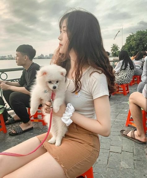 太太的情人电影